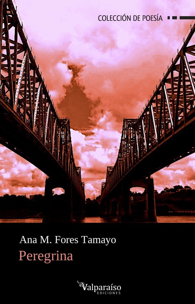 PEREGRINA, de FORES TAMAYO, ANA MARIA | portada del libro