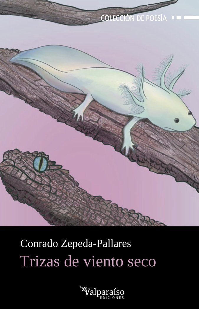 TRIZAS DE VIENTO SECO, de ZEPEDA-PALLARES, CONRADO | portada del libro