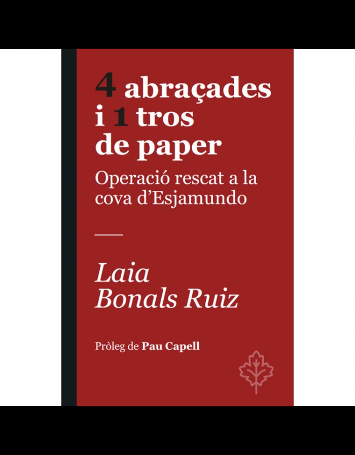 4 ABRACADES 1 TROS DE PAPER, de LAIA RUIZ | portada del libro