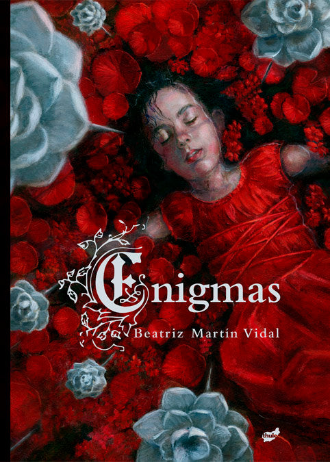 Enigmas, de BEATRIZ MARTIN VIDAL | portada del libro