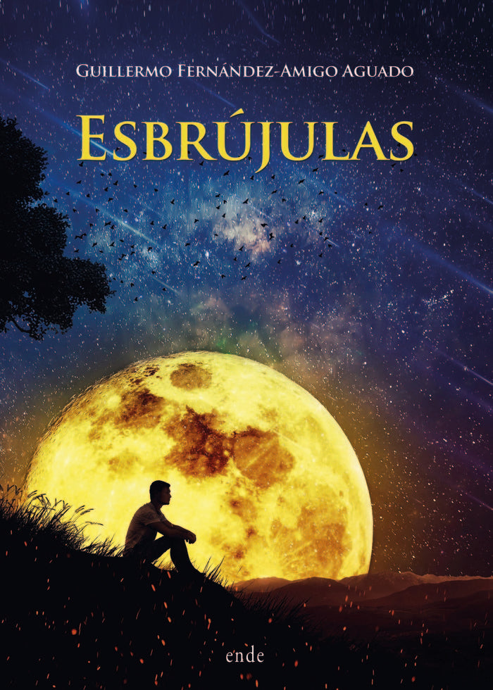 Esbrújulas, de Fernández-Amigo Aguado, Guillermo | portada del libro