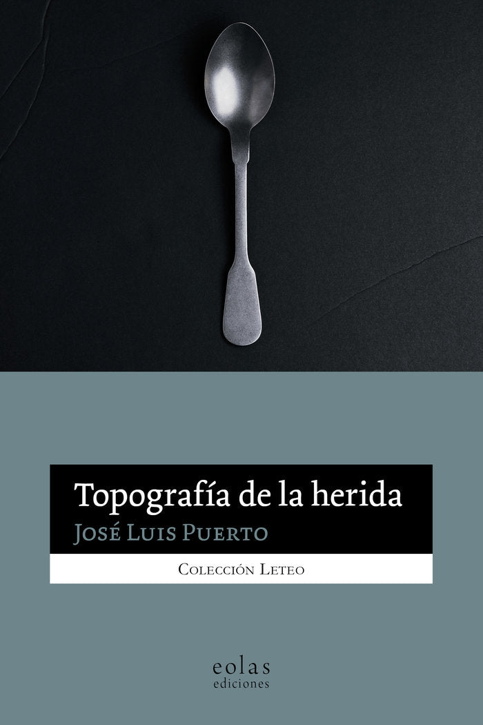 TOPOGRAFIA DE LA HERIDA, de PUERTO, JOSE LUIS | portada del libro
