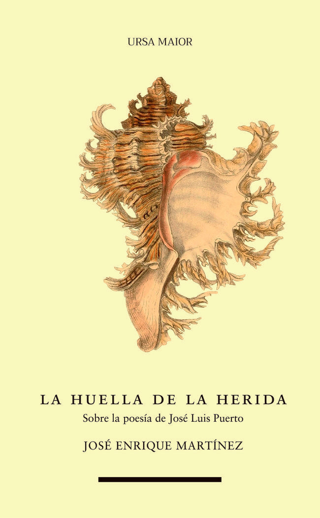 LA HUELLA DE LA HERIDA, de MARTINEZ, JOSE ENRIQUE | portada del libro