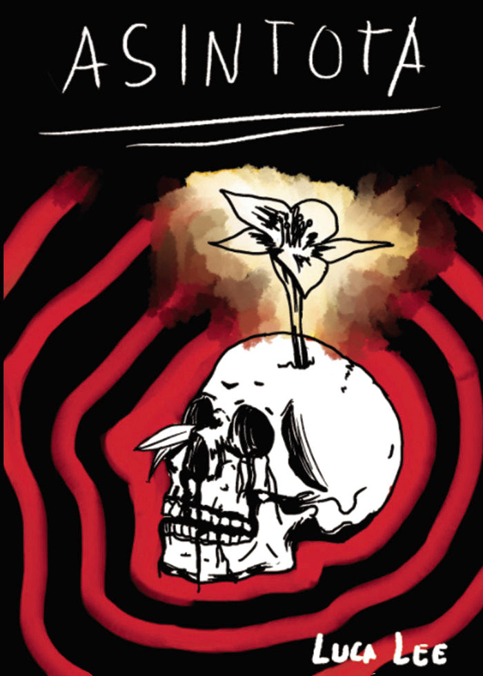 Asíntota, de Thiago Lee, Luca | portada del libro