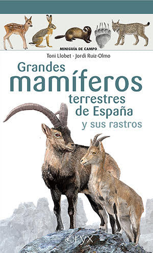GRANDES MAMIFEROS TERRESTRES DE ESPAÑA Y SUS RASTROS, de LLOBET FRANÇOIS, TONI | portada del libro