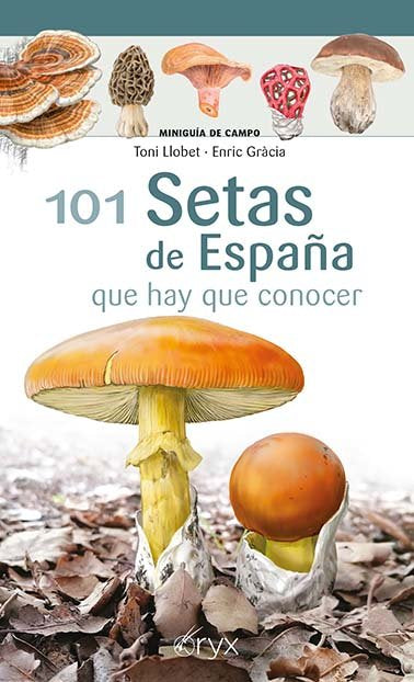 101 SETAS DE ESPAÑA, de LLOBET FRANÇOIS, TONI | portada del libro
