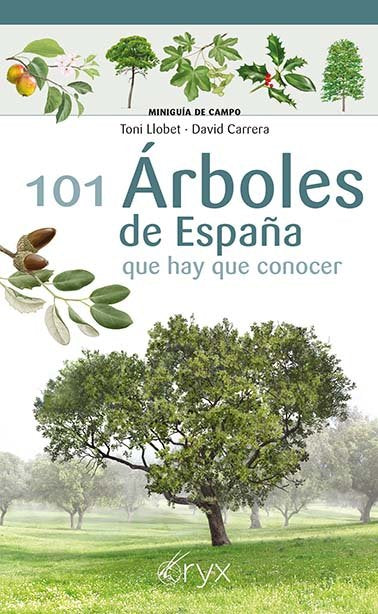 101 ARBOLES DE ESPAÑA QUE HAY DE CONOCER, de LLOBET FRANÇOIS, TONI | portada del libro