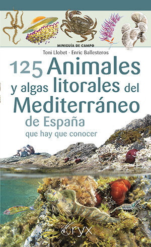 125 ANIMALES Y ALGAS LITORALES DEL MEDITERRANEO DE ESPAÑA QU, de LLOBET, TONI | portada del libro