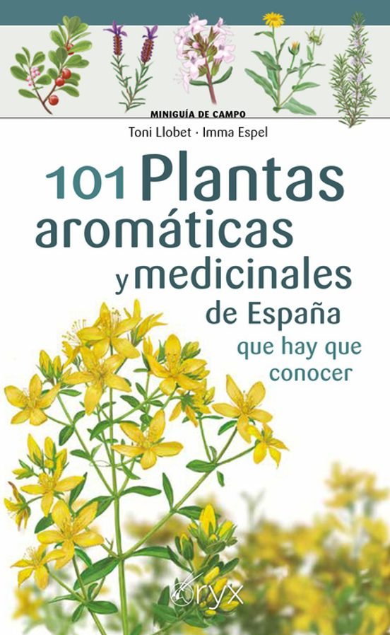 101 PLANTAS AROMATICAS Y MEDICINALES DE ESPAÑA QUE HAY QUE C, de LLOBET, TONI | portada del libro