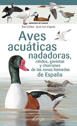 AVES ACUATICAS NADADORAS, RALIDOS, GAVIOTAS Y CHARRANES DE LAS ZONAS HUMEDAS DE, de LLOBET, TONI | portada del libro