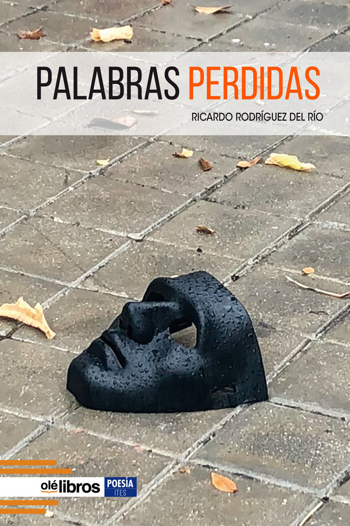 PALABRAS PERDIDAS, de RODRÍGUEZ DEL RÍO, RICARDO | portada del libro