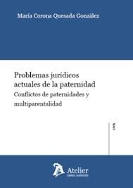 PROBLEMAS JURIDICOS ACTUALES DE LA PATERNIDAD CONFLICTOS DE, de QUESADA GONZALEZ,MARIA CORONA | portada del libro