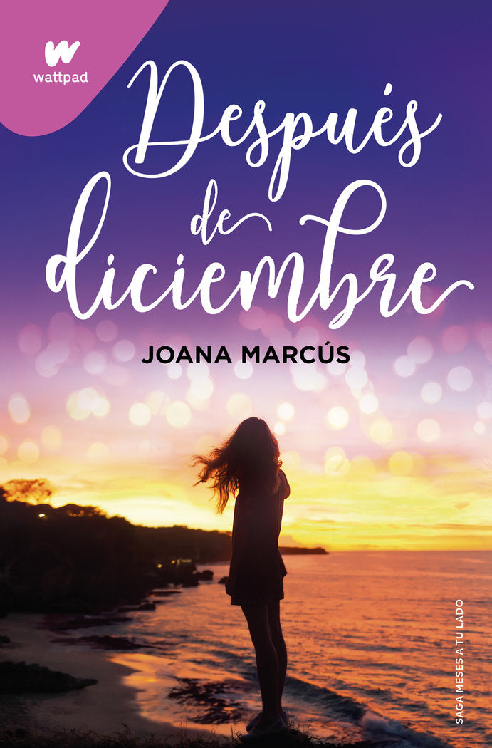 DESPUES DE DICIEMBRE, de JOANA MARCUS | portada del libro