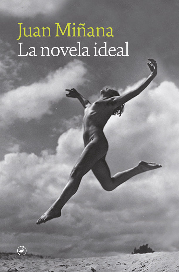 LA NOVELA IDEAL, de MIÑANA, JUAN | portada del libro