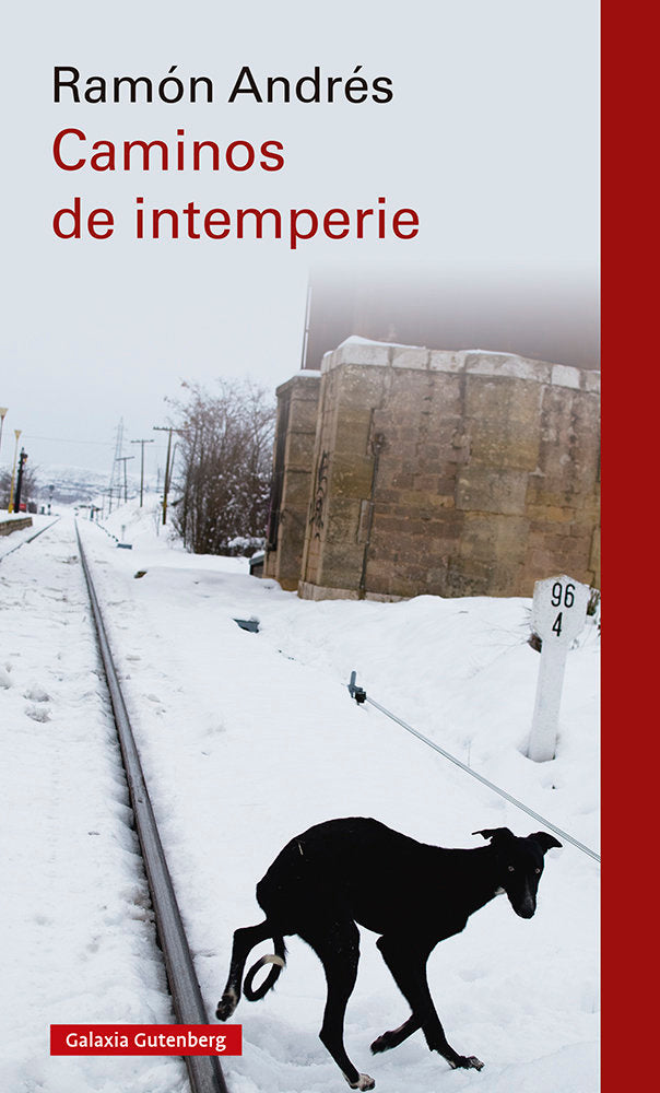 CAMINOS DE INTEMPERIE, de ANDRES | portada del libro