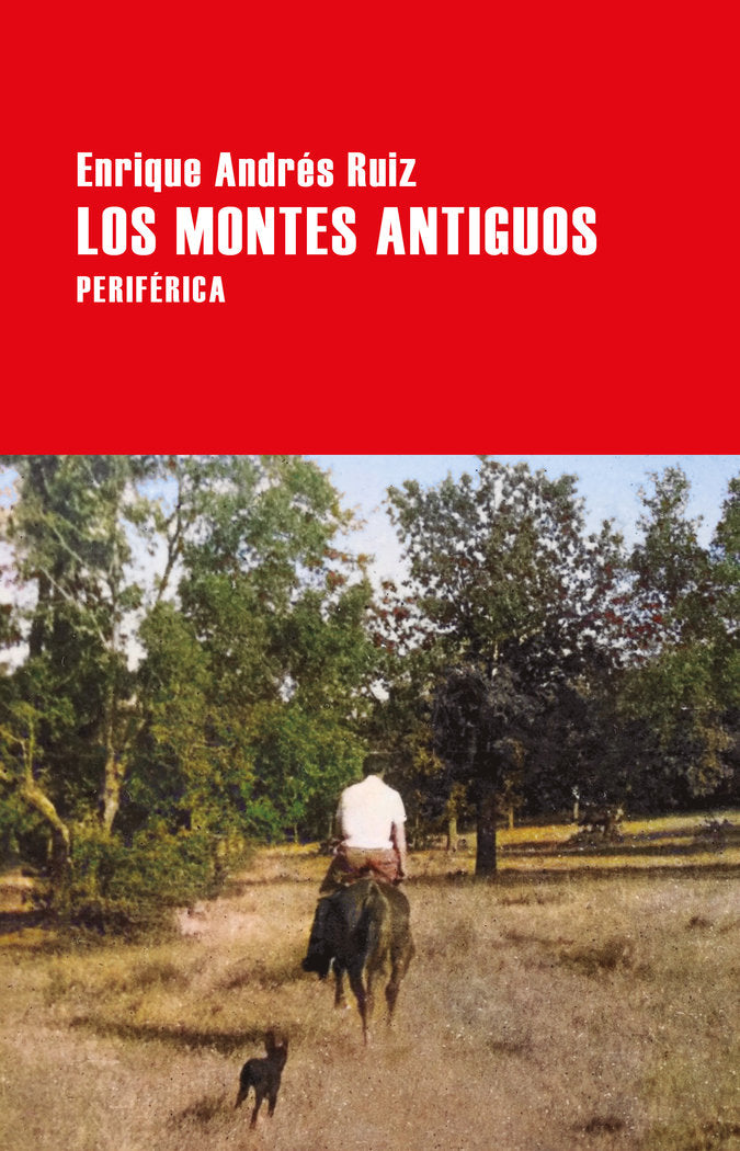 Los montes antiguos, de ANDRES RUIZ,ENRIQUE | portada del libro