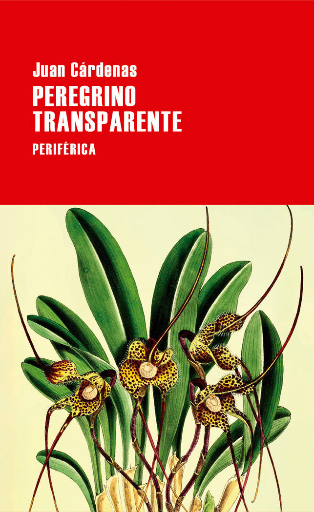 PEREGRINO TRANSPARENTE, de CARDENAS, JUAN | portada del libro