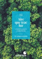 AIRE QUE TRAE LUZ, de Karmelo Bizkarra | portada del libro