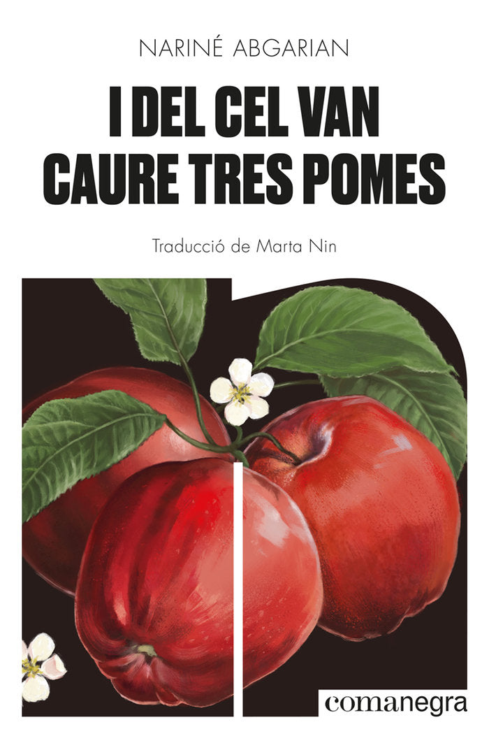 I del cel van caure tres pomes, de ABGARIAN, NARINE | portada del libro
