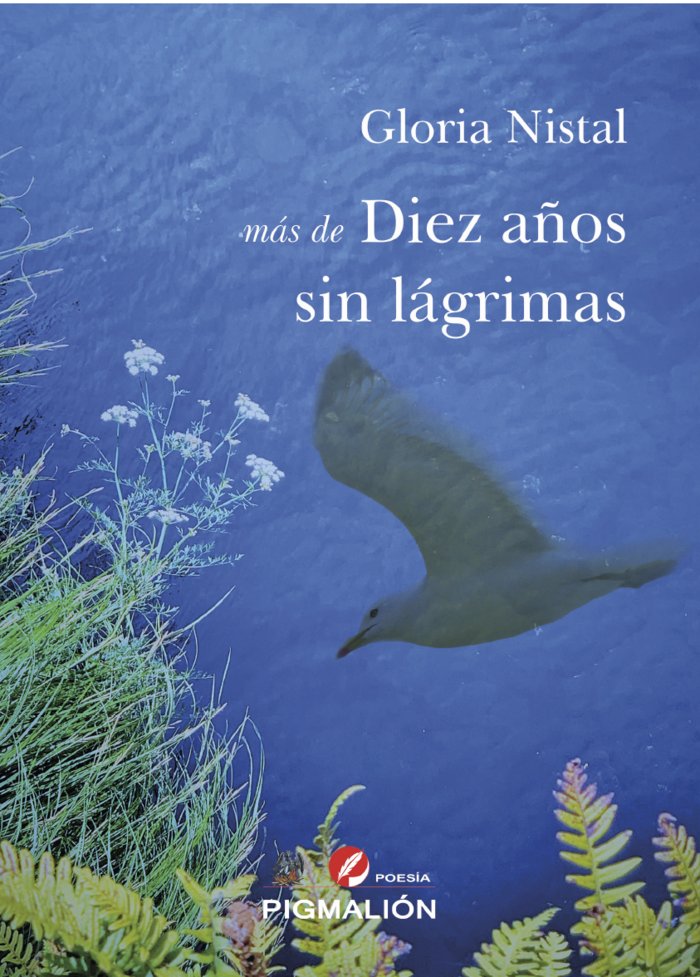 MÁS DE DIEZ AÑOS SIN LÁGRIMAS, de Nistal Rosique, Gloria | portada del libro