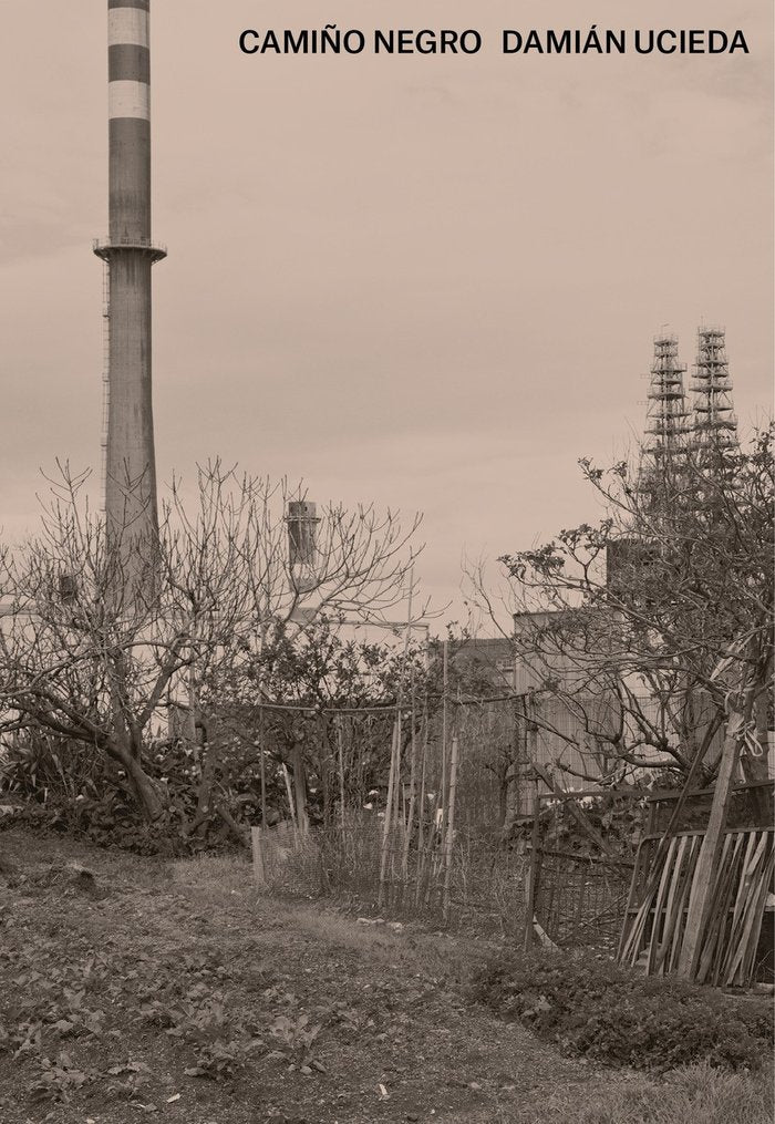 CAMIÑO NEGRO DAMIAN UCIEDA, de DE NIEVES, JUAN | portada del libro