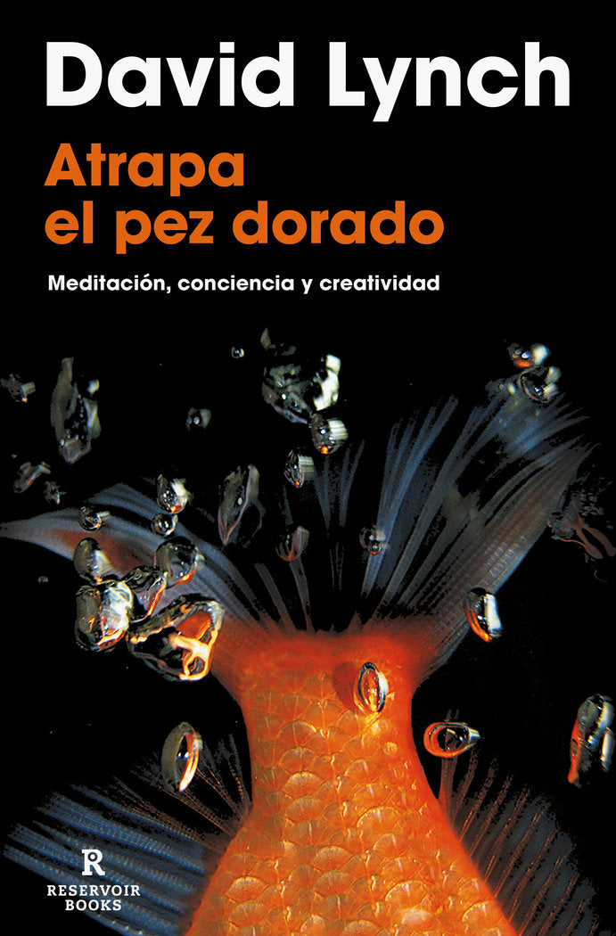 ATRAPA EL PEZ DORADO, de LYNCH, DAVID | portada del libro