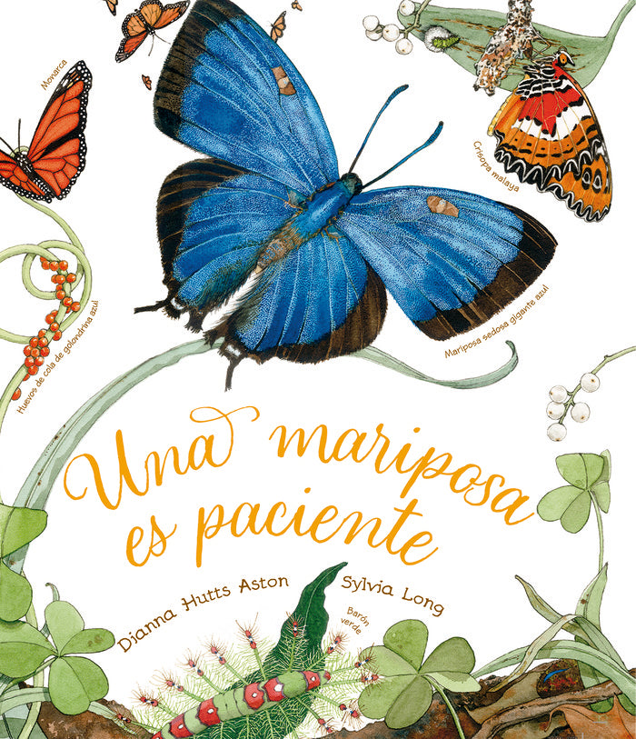 UNA MARIPOSA ES PACIENTE, de HUTTS ASTON, DIANNA | portada del libro