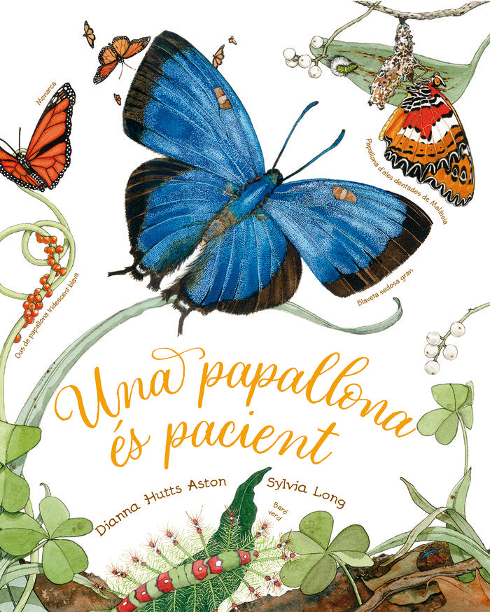 UNA PAPALLONA ES PACIENT, de HUTTS ASTON, DIANNA | portada del libro