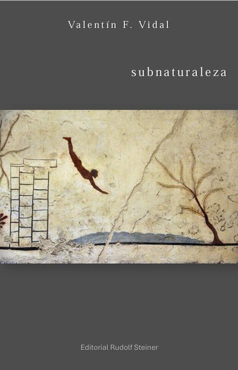 SUBNATURALEZA, de FERNANDEZ VIDAL, VALENTIN | portada del libro