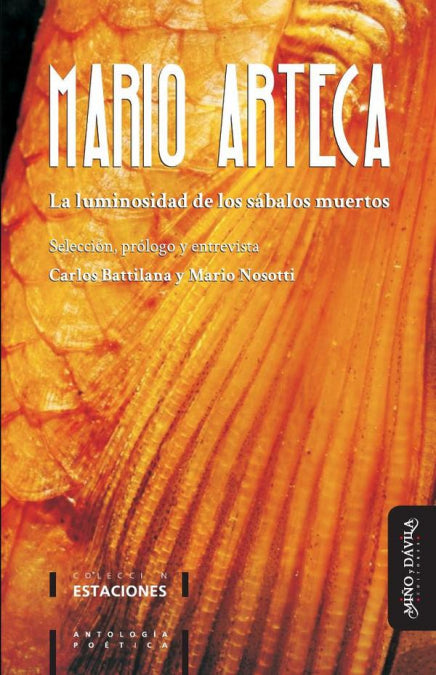 LA LUMINOSIDAD DE LOS SABALOS MUERTOS, de MARIO ARTECA | portada del libro