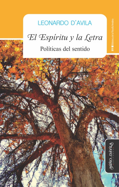 EL ESPIRITU Y LA LETRA, de LEONARDO D?AVILA | portada del libro