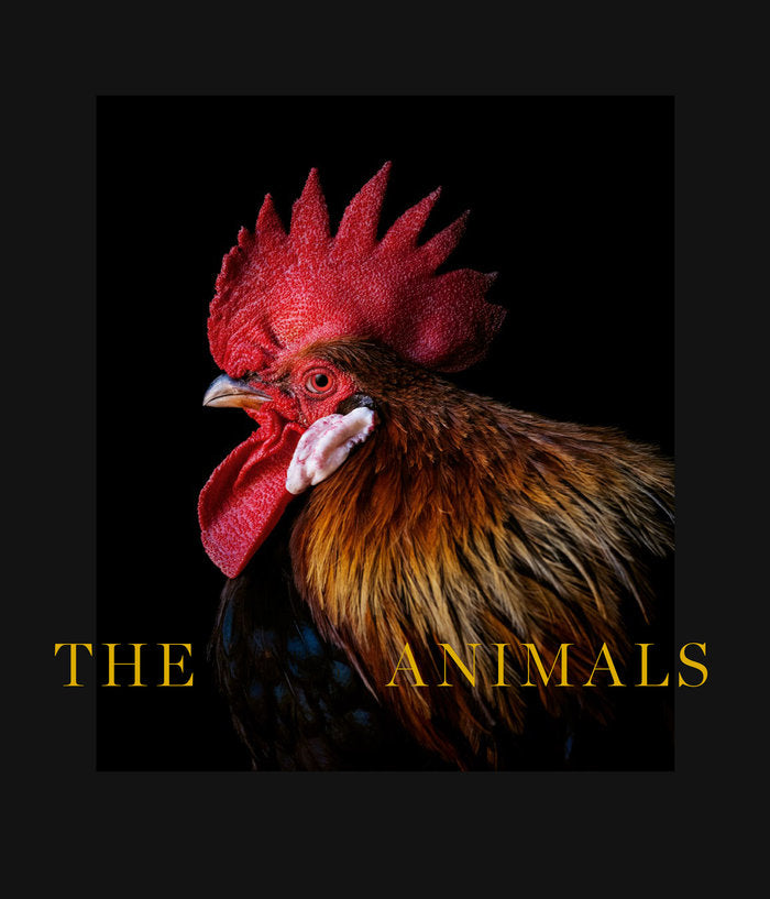 The Animals, de DE CASTRO. | portada del libro