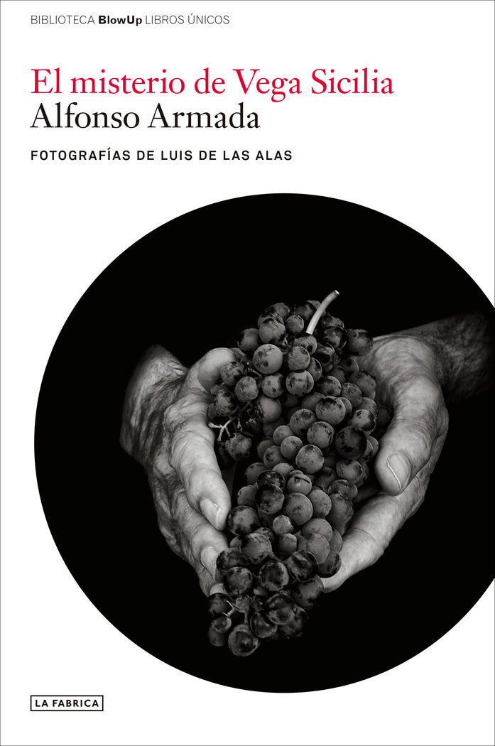 El misterio de Vega Sicilia., de ARMADA | portada del libro