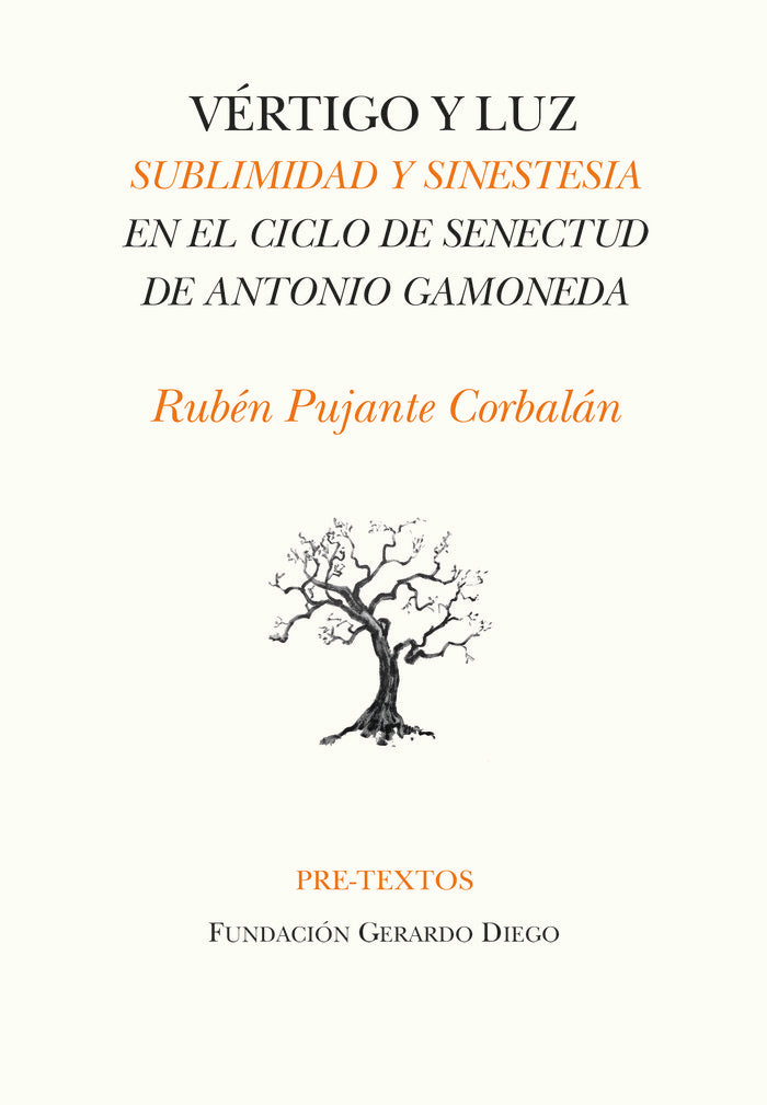 VÉRTIGO Y LUZ, de PUJANTE CORBALAN | portada del libro