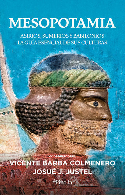 Mesopotamia, de VICENTE BARBA COLMENERO | portada del libro