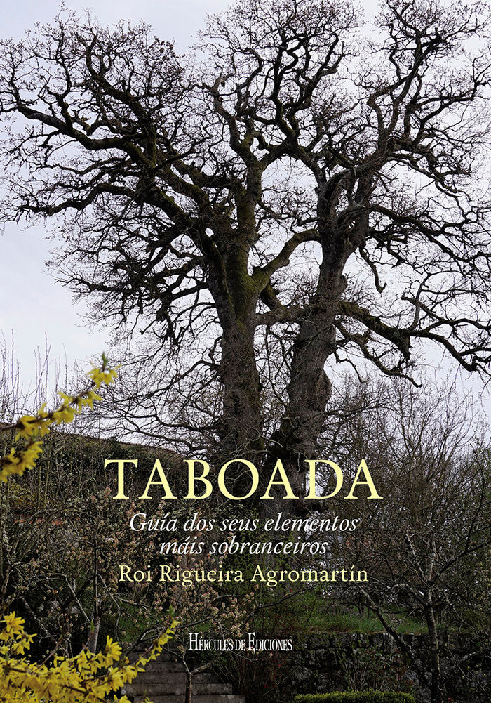 Taboada, de Rigueira Agromartín, Roi | portada del libro