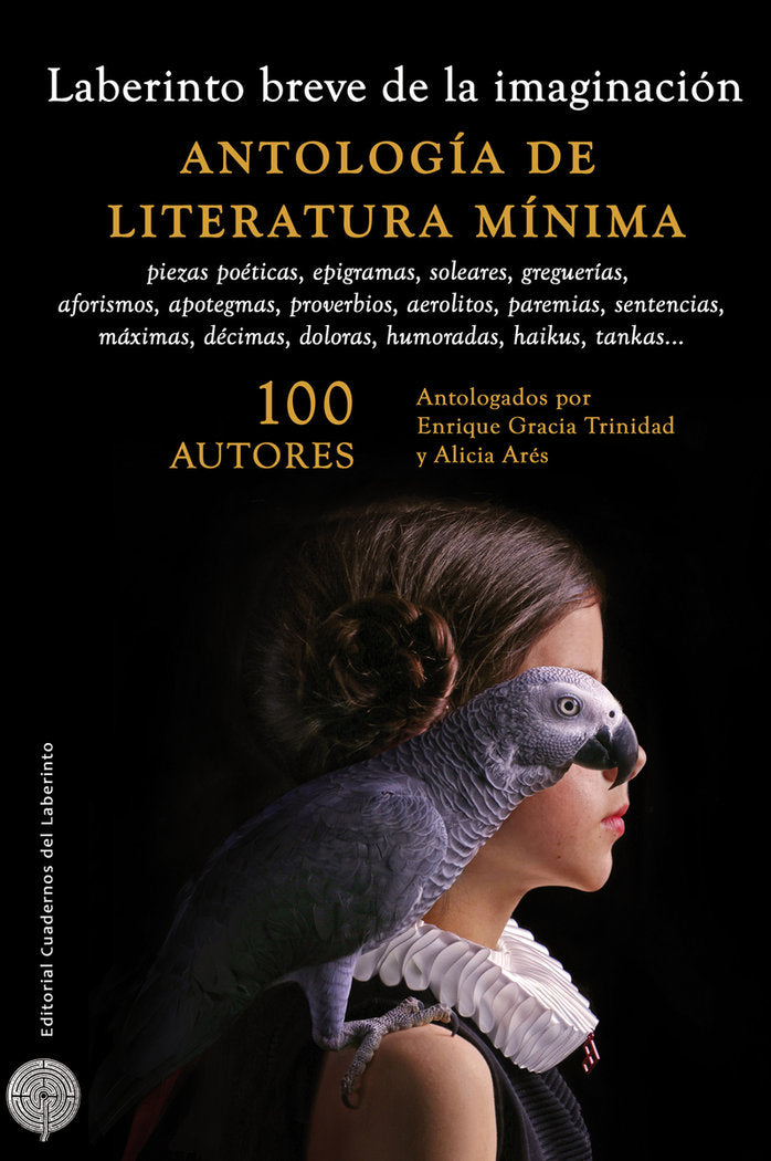 LABERINTO BREVE DE LA IMAGINACION | portada del libro