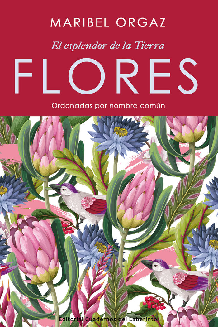 FLORES EL ESPLENDOR DE LA TIERRA, de ORGAZ,MARIBEL | portada del libro