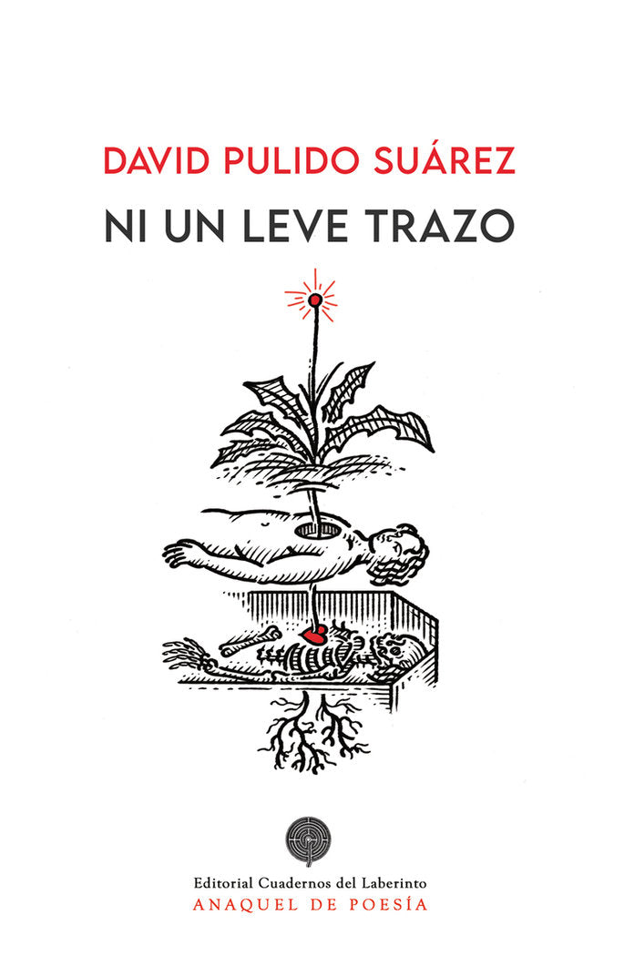 NI UN LEVE TRAZO, de PULIDO SUAREZ, DAVID | portada del libro