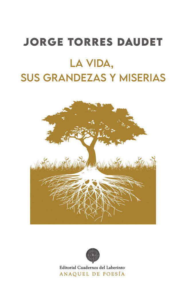 LA VIDA, SUS GRANDEZAS Y MISERIAS, de TORRES DAUDET, JORGE | portada del libro