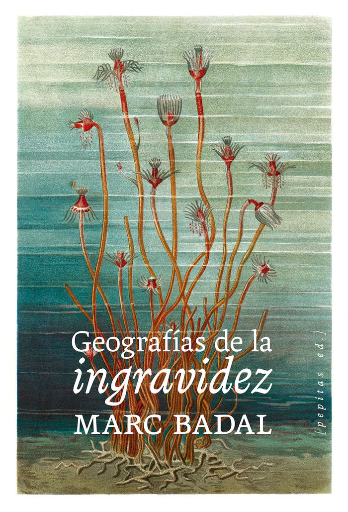 GEOGRAFIAS DE LA INGRAVIDEZ, de BADAL PIJOAN, MARC | portada del libro