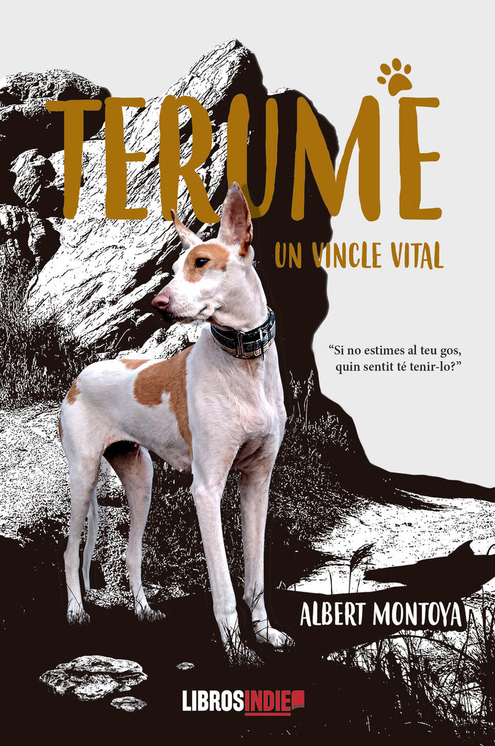Terume. Un vincle vital, de Montoya, Albert | portada del libro