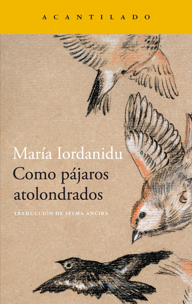 COMO PAJAROS ATOLONDRADOS, de IORDANIDU, MARIA | portada del libro