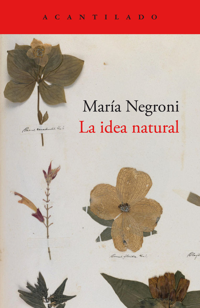 LA IDEA NATURAL, de NEGRONI, MARIA | portada del libro