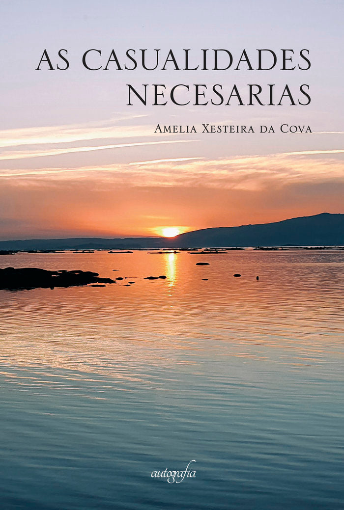 As casualidades necesarias, de Xesteira, Amelia | portada del libro
