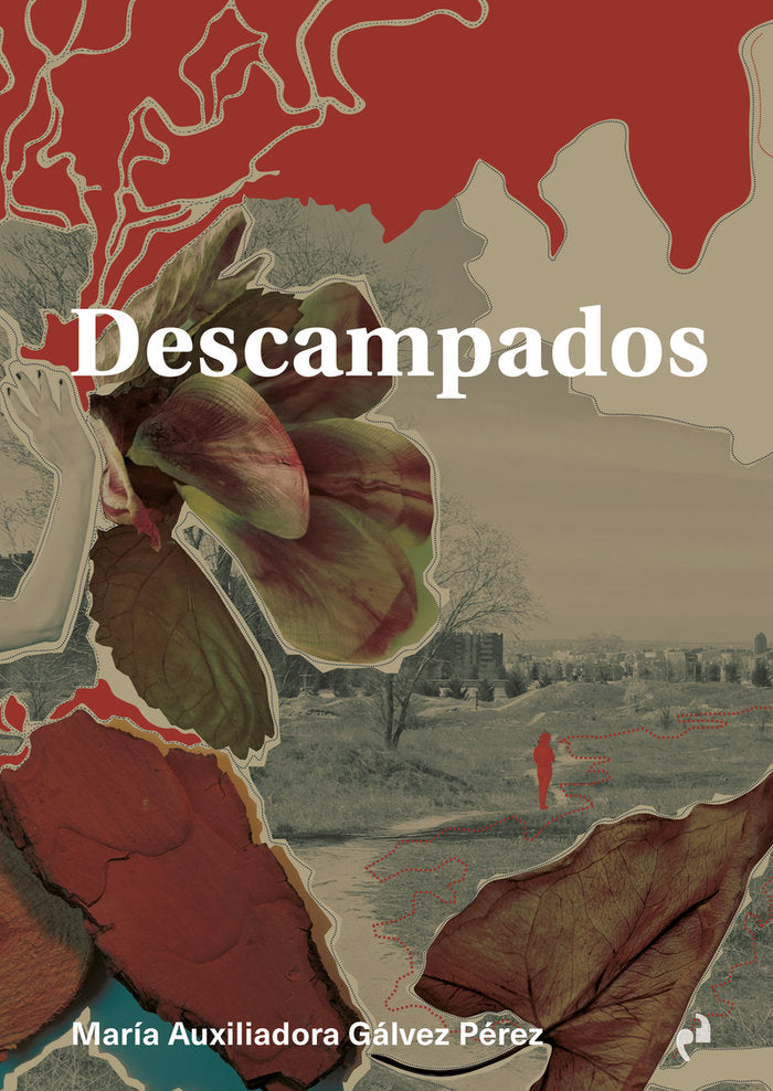 DESCAMPADOS, de GALVEZ PEREZ, Mª AUXILIADORA | portada del libro