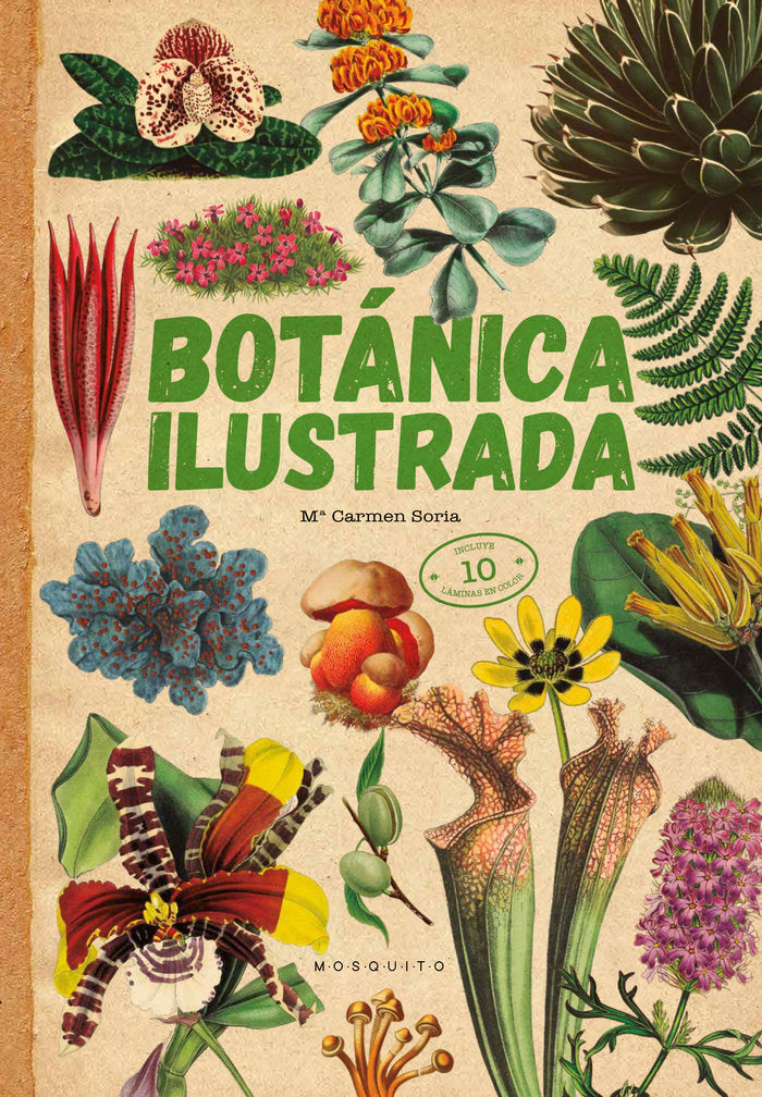 BOTANICA ILUSTRADA, de SORIA, CARMEN | portada del libro