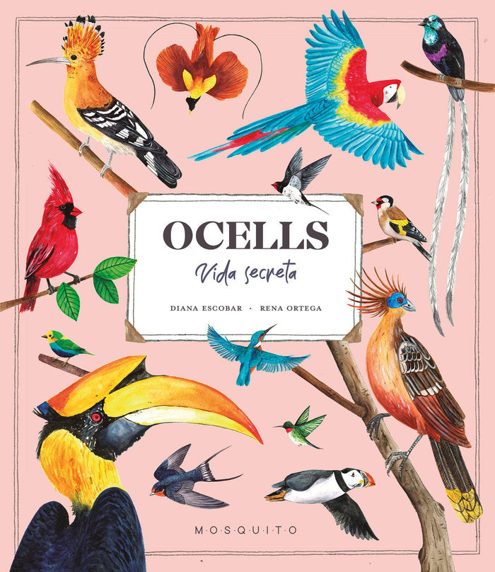 Ocells. Vida Secreta, de ESTEBAN, DIANA | portada del libro