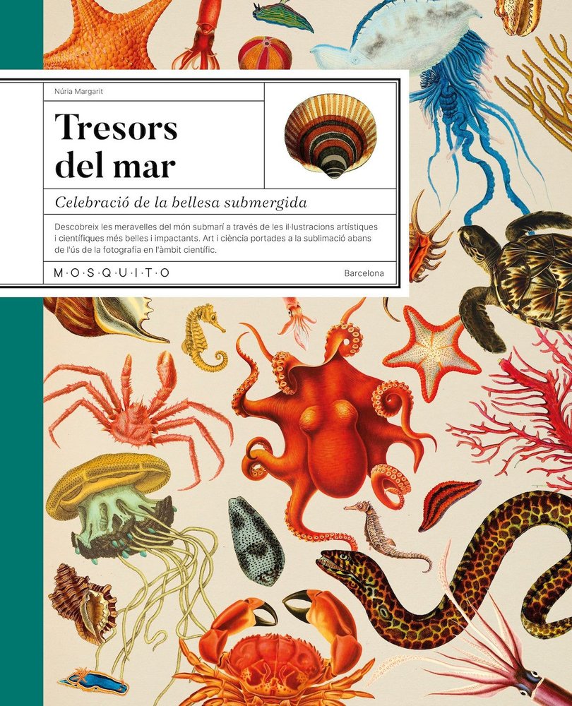 TRESORS DEL MAR, de MARGARIT, NURIA | portada del libro