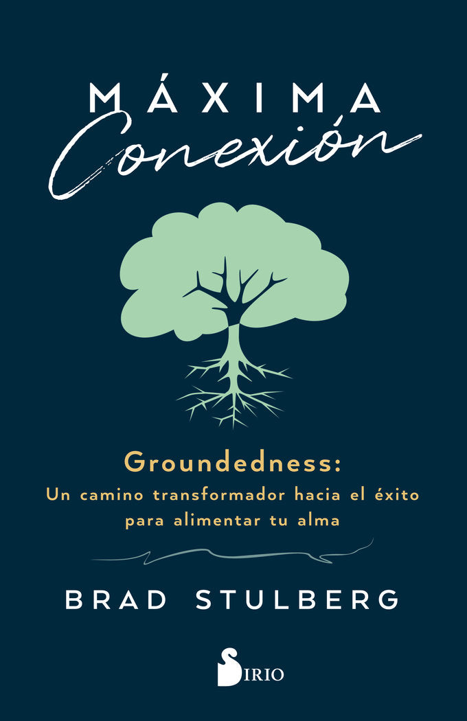 MAXIMA CONEXION, de STULBERG, BRAD | portada del libro